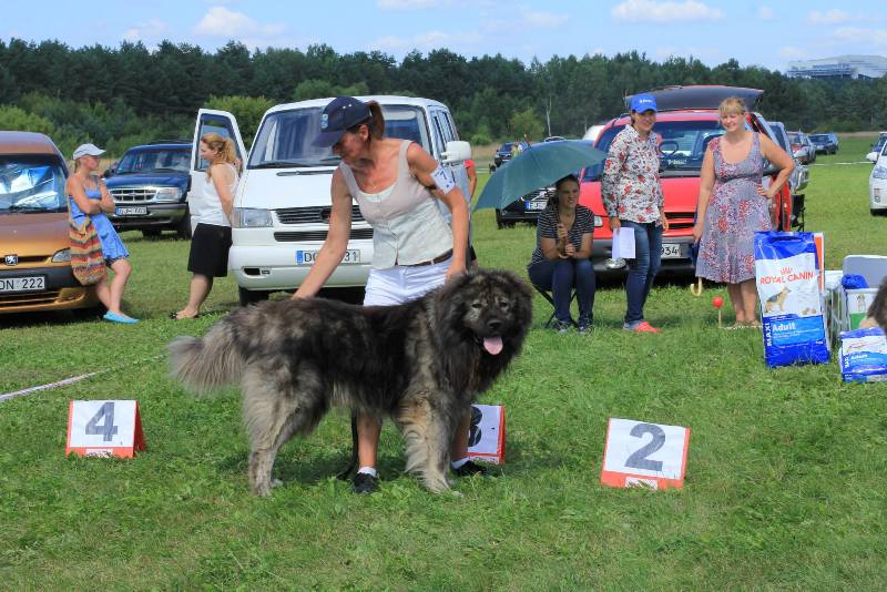 Baltija 2013, Druskininkai, Lithuania