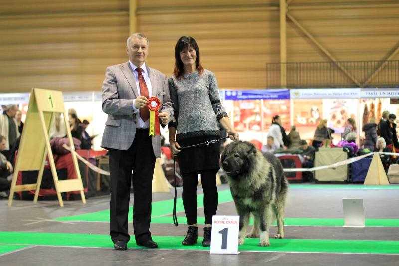 Zooexpo 2014, CACIB, Rīga