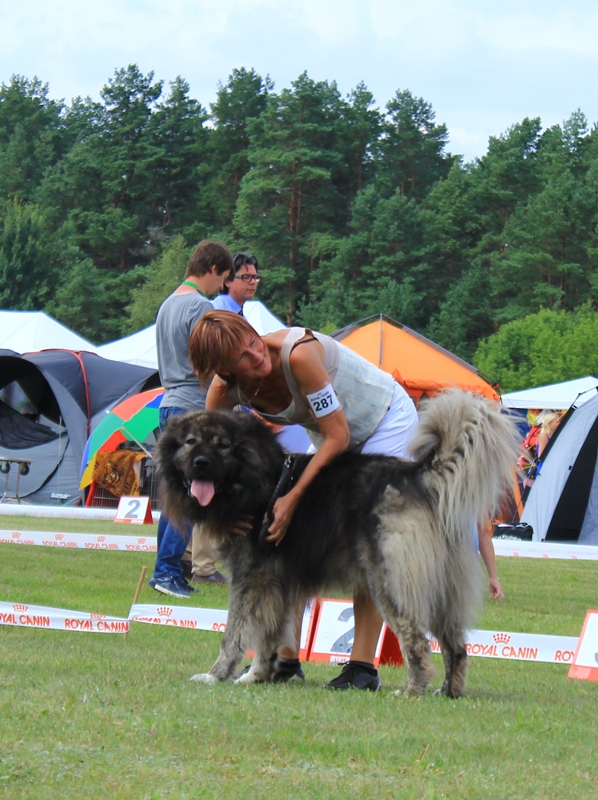 Druskininkai Cup'2012, CACIB, Lithuania