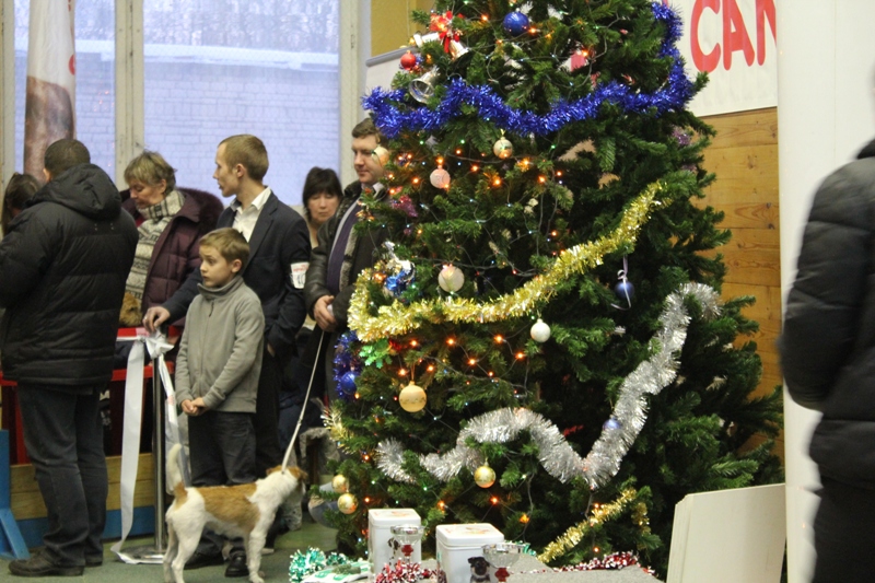 НОВОГОДНЯЯ ДОГ-ТУСОВКА 2012, Pskov 23.12.2012.