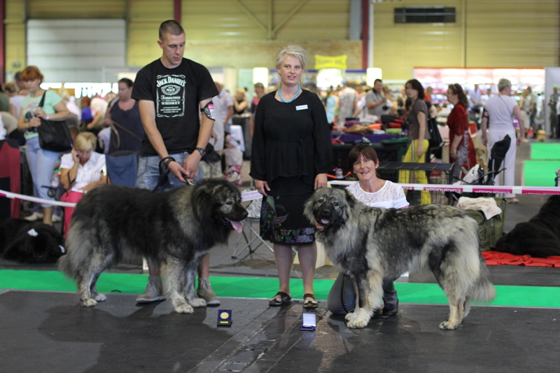 2xCACIB Dog Show Rīga