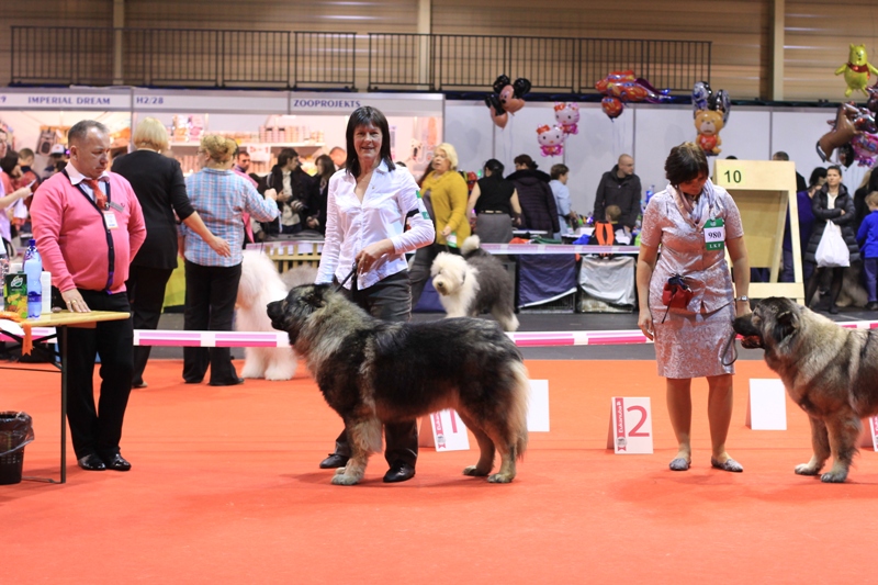 Petekspo 2014, 23.03.2014.