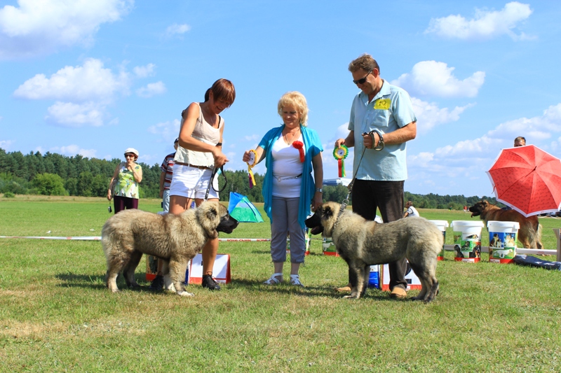 Kluba Baltija specializētā izstāde 2012, Lietuva