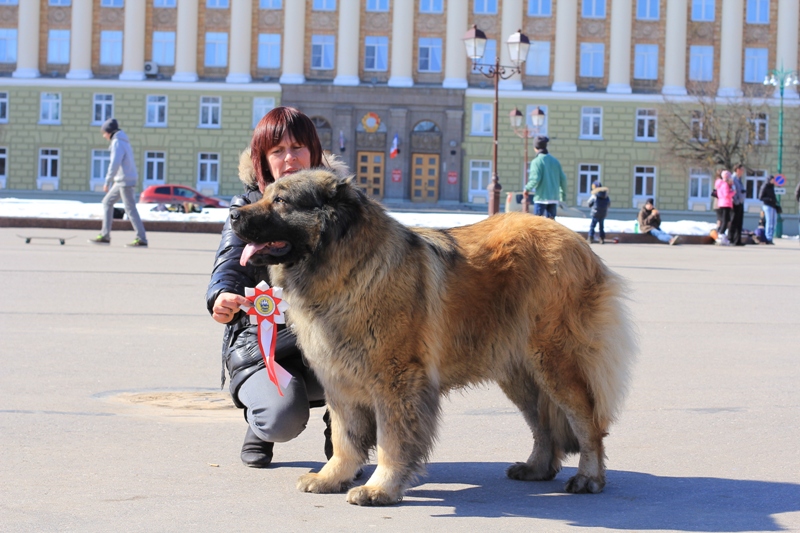 Великий Новгород, 07.04.2013.