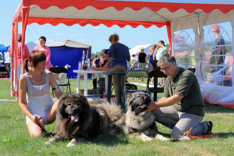 Druskininkai Cup'2013, CACIB, Литва