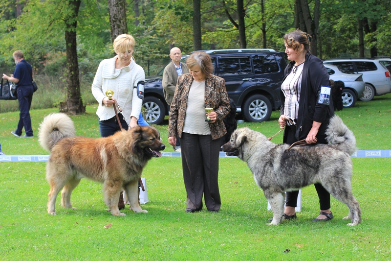 Клуба Rusguard специализированная выставка 13.09.2014.