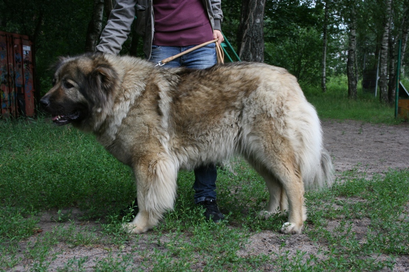 Специализированная выставка клуба Rusguard 14.07.2012.